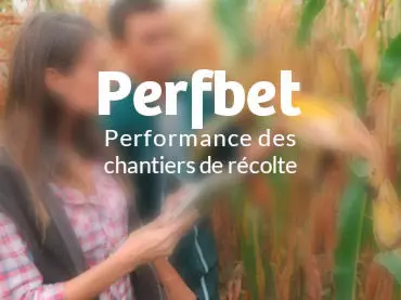 UX/UI logiciel en mode SAAS : Perfbet